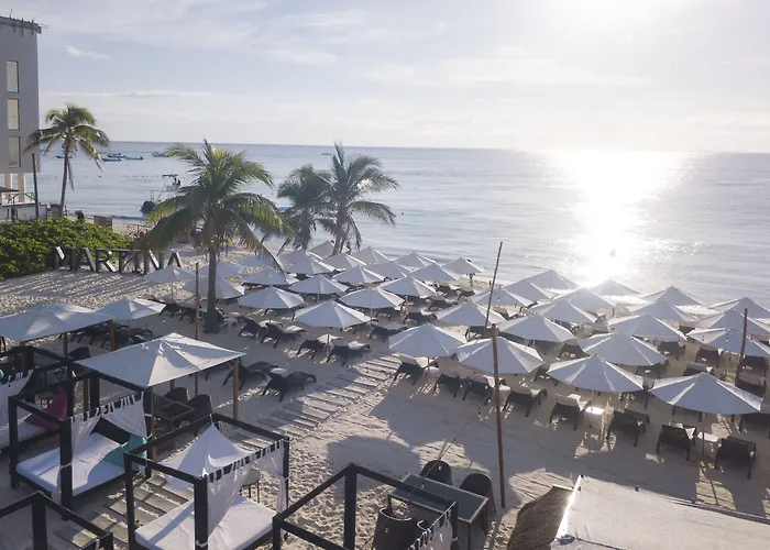 Mar Azul Suites 5Ta Av (Adults Only)